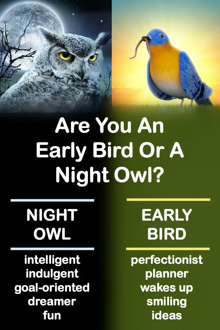 are-you-an-early-bird-or-a-night-owl